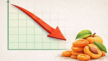 Malatya ekonomisinin lokomotifi olan kuru meyve sektörü liderliğini koruyor