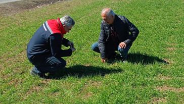 Zararlı organizmaların yayılma durumu tespit edildi