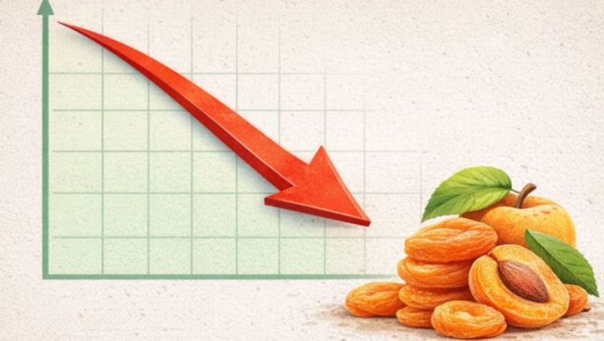 Malatya ekonomisinin lokomotifi olan kuru meyve sektörü liderliğini koruyor