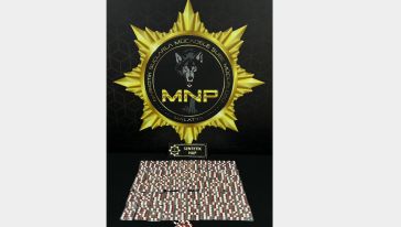 Malatya'da 11 Torbacı Cezaevine Gönderildi