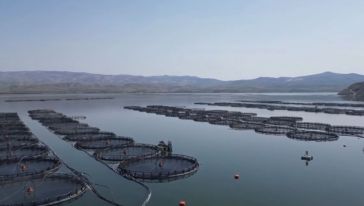 Malatya'da yıllık yaklaşık 7 bin 500 ton alabalık üretimi yapılıyor