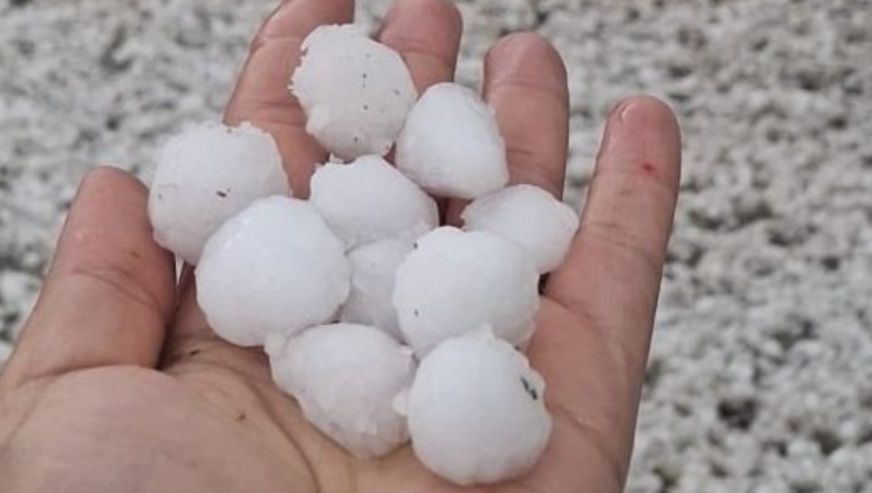 Kayısı Bahçelerinde Dolu Zararı Var