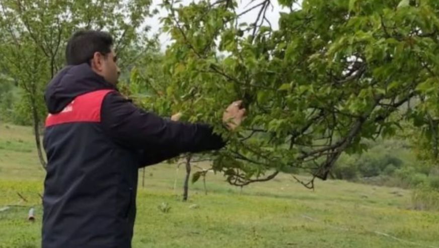 Pütürge'de 5, Doğanyol'da 6 Mahallede Dolu Zararı Var!